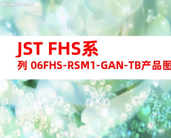 JST FHS系列 06FHS-RSM1-GAN-TB产品图纸
